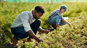 Top Agriculture Courses After 12th in 2025
