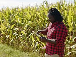 Apply For Top Agriculture Courses & Programs - 2025 Intake Ongoing
